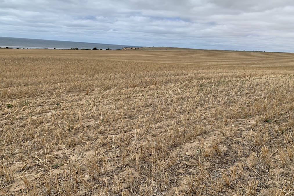 Lot 38 Lincoln Highway, Port Neill, SA, 5604 - Image 25
