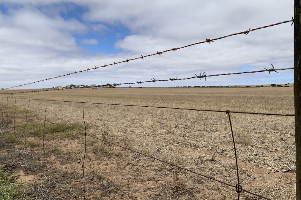 Lot 38 Lincoln Highway, Port Neill, SA, 5604 - Image 26