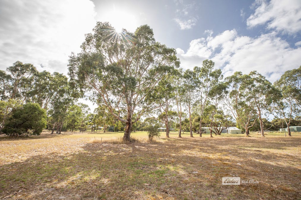 308 Cedar Avenue, Naracoorte, SA, 5271 - Image 25
