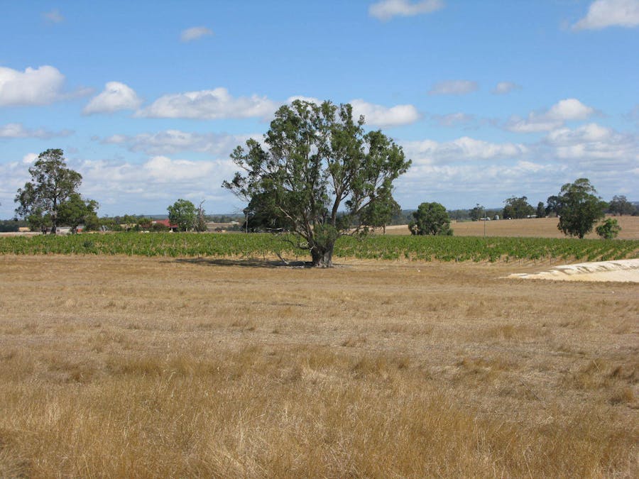 121 Poison Hill Road, Frankland River, WA, 6396 - Image 6