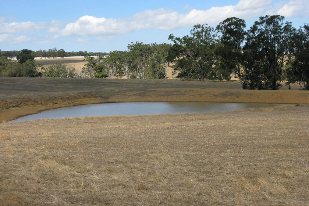 121 Poison Hill Road, Frankland River, WA, 6396 - Image 8