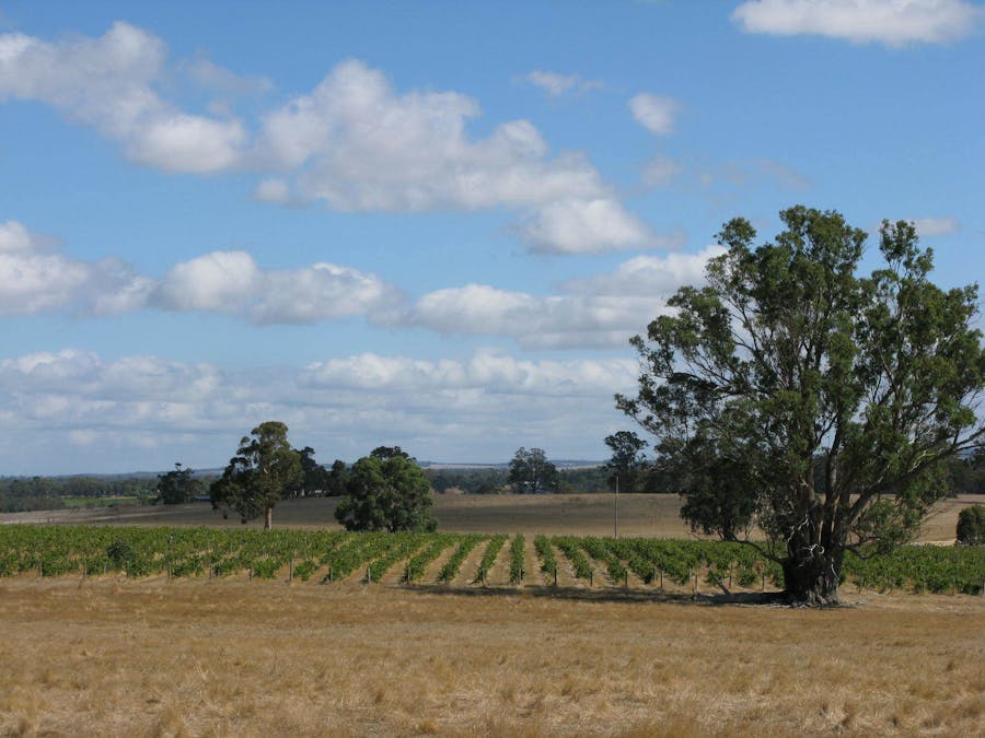 121 Poison Hill Road, Frankland River, WA, 6396 - Image 10