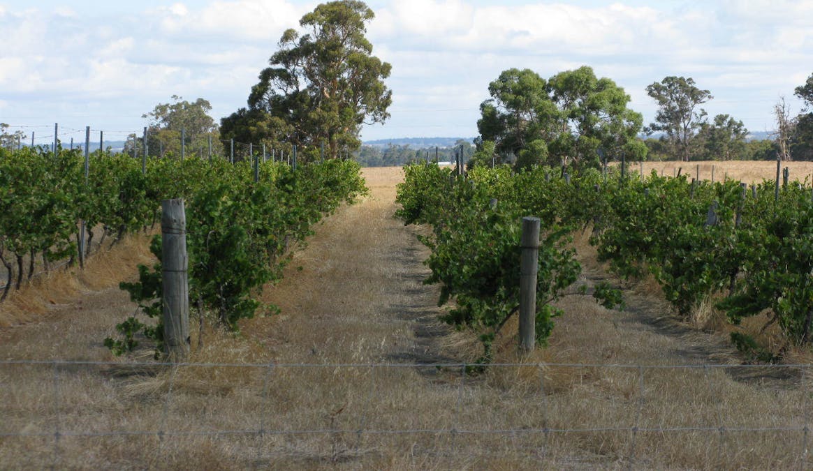121 Poison Hill Road, Frankland River, WA, 6396 - Image 11