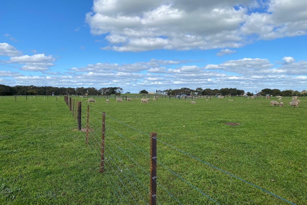 Lot 13/Lot 13 Stringy Bark Drive, Millicent, SA, 5280 - Image 4