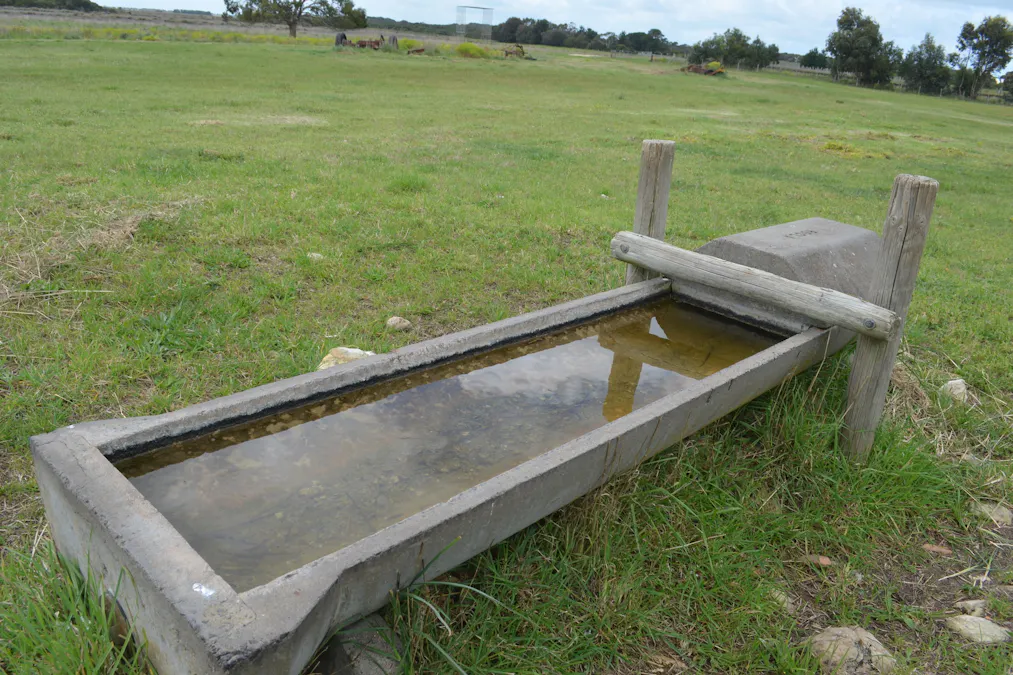 227 Clay Wells Road, Robe, SA, 5276 - Image 13