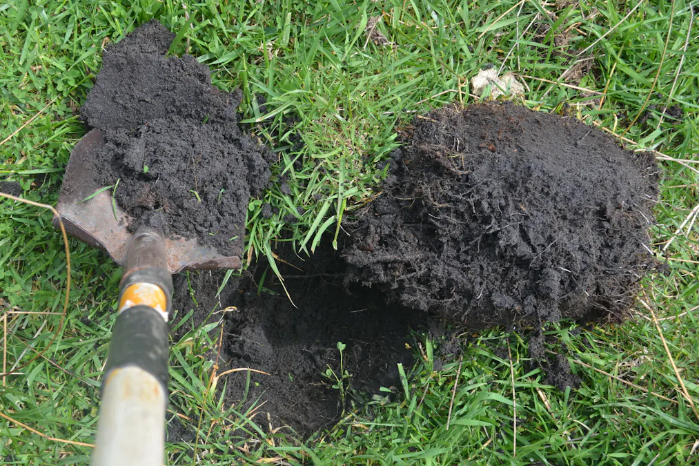 227 Clay Wells Road, Robe, SA, 5276 - Image 5