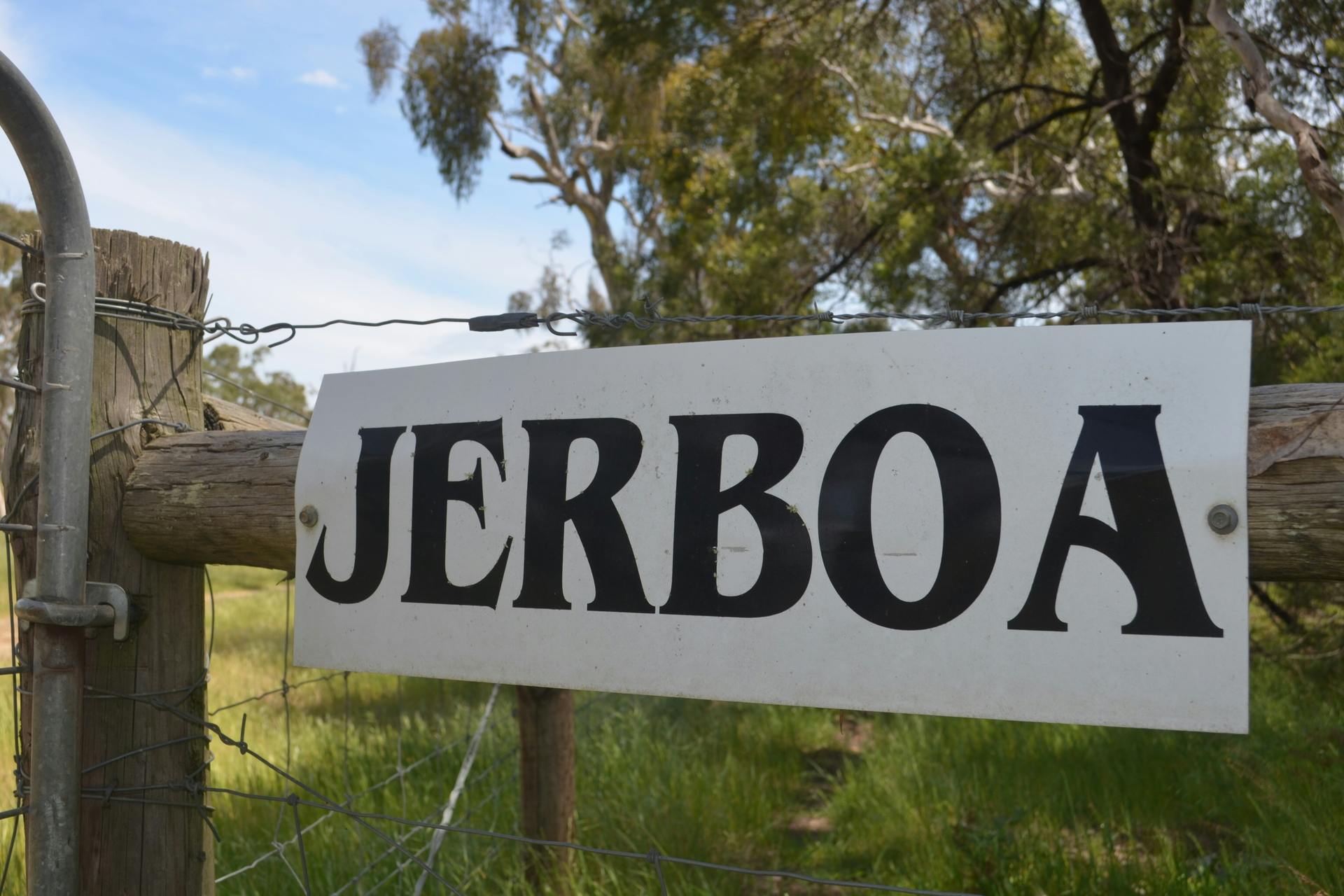 151 Stotts Lane, Naracoorte, SA, 5271 Sold Elders Real Estate