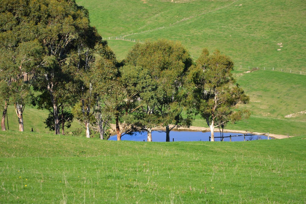 Loch, VIC, 3945 - Image 25