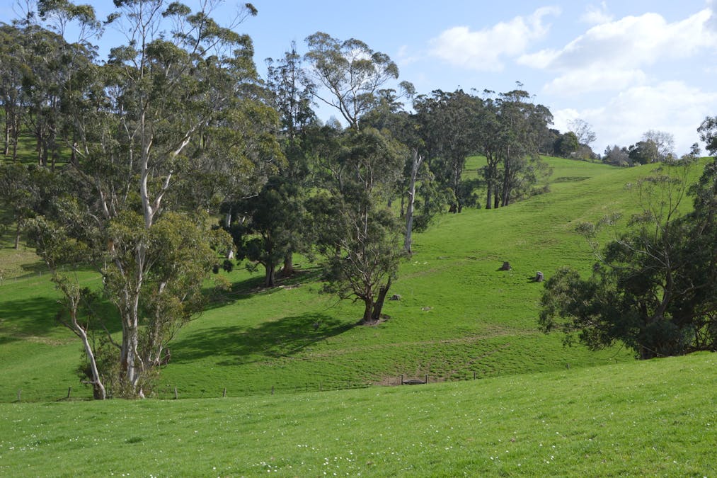 Loch, VIC, 3945 - Image 26
