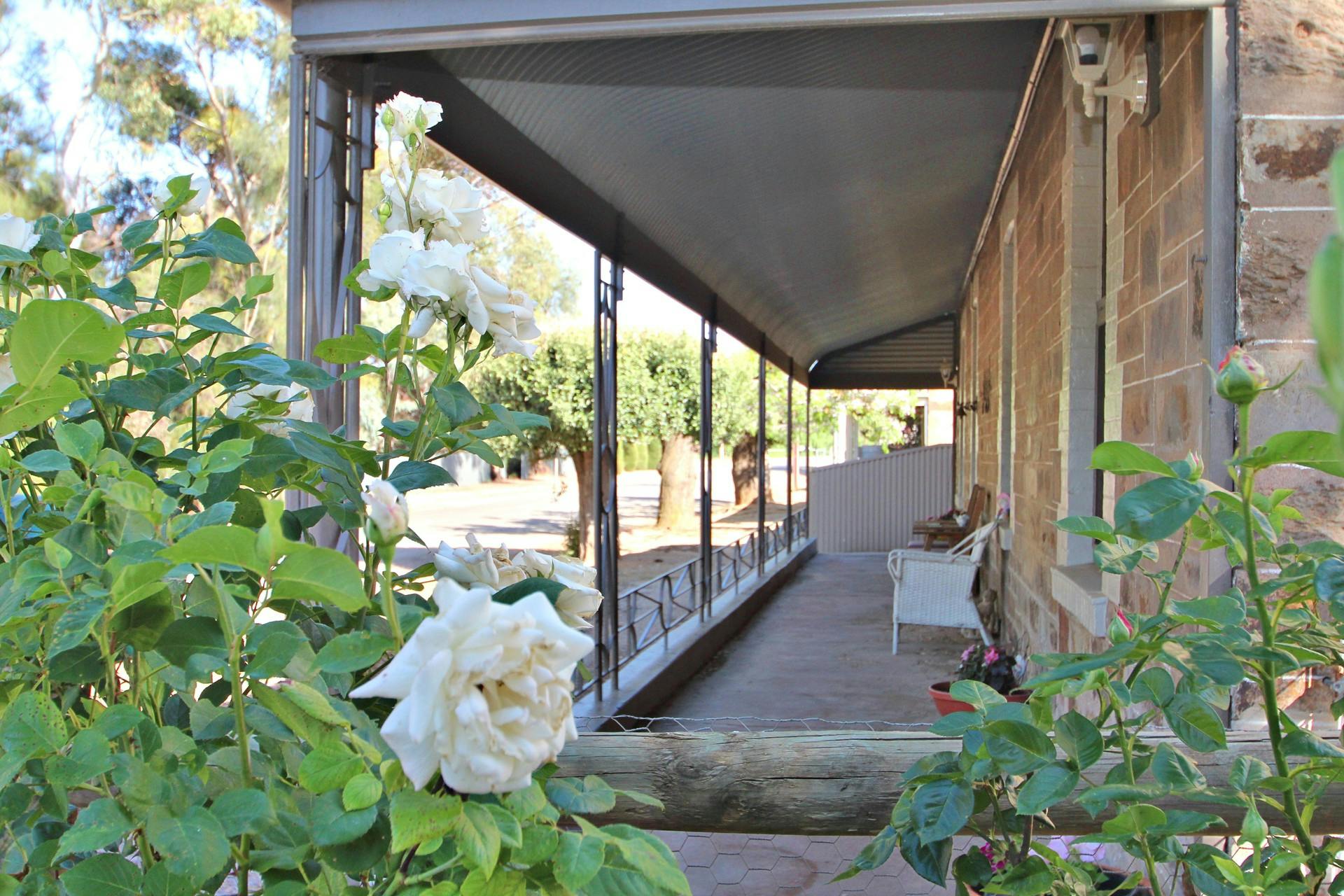 5 Mitchell Flat , Burra, SA, 5417 Sold Elders Real Estate