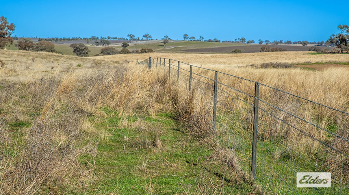1973 Euchareena Road, Molong, NSW, 2866 - Image 9