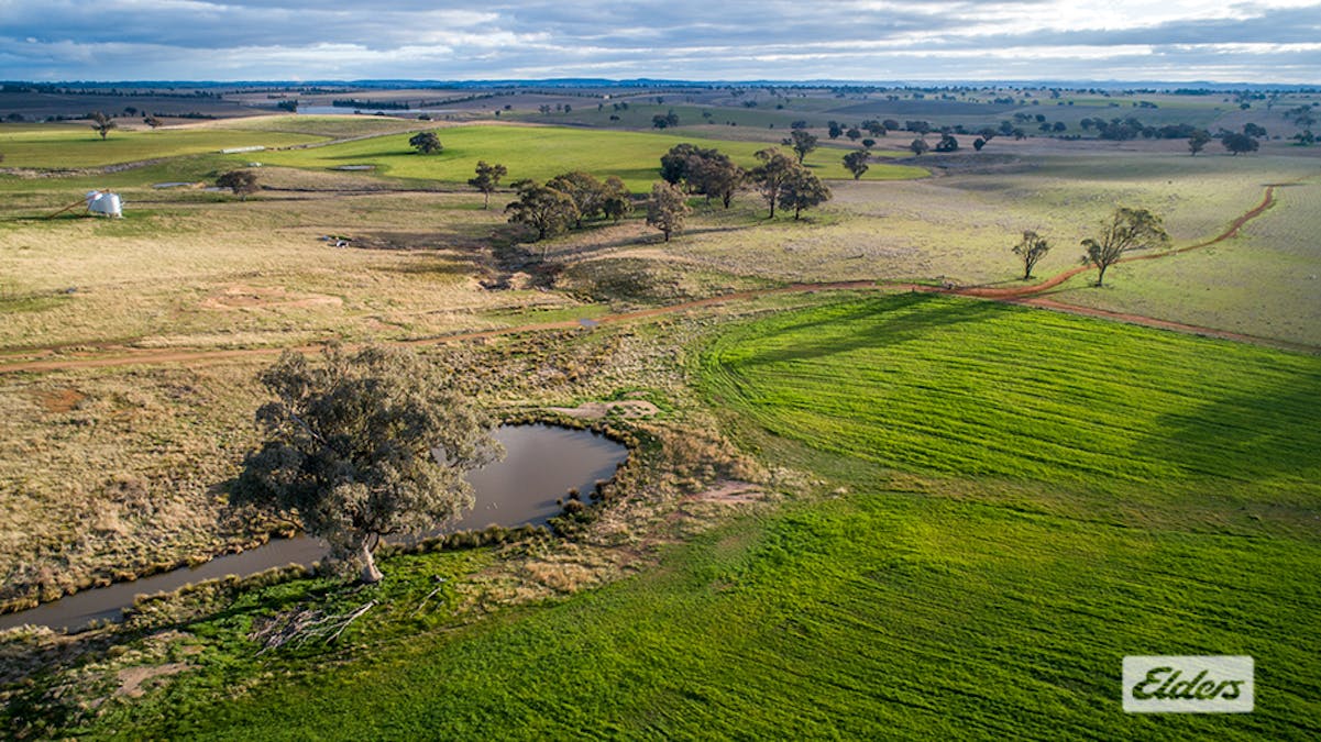 1973 Euchareena Road, Molong, NSW, 2866 - Image 6