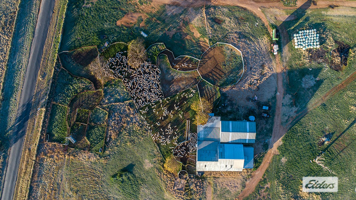 1973 Euchareena Road, Molong, NSW, 2866 - Image 18