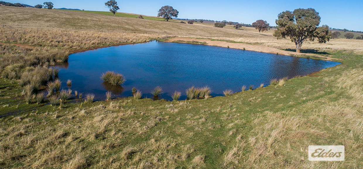 1973 Euchareena Road, Molong, NSW, 2866 - Image 11
