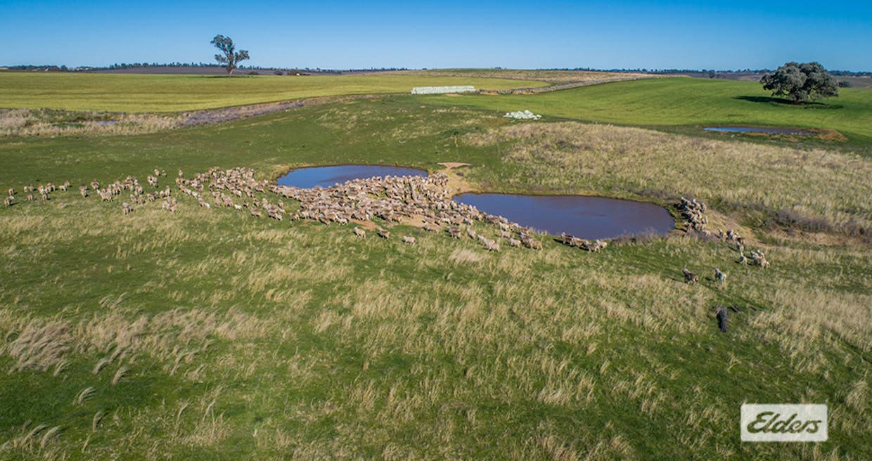 1973 Euchareena Road, Molong, NSW, 2866 - Image 1