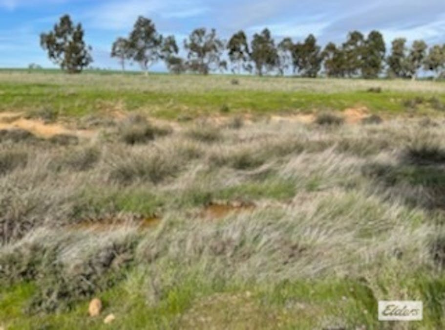 Lot 165 Quairading - York Road, Kauring, WA, 6302 - Image 4