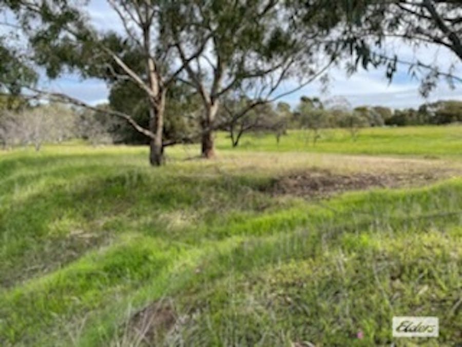 Lot 165 Quairading - York Road, Kauring, WA, 6302 - Image 3