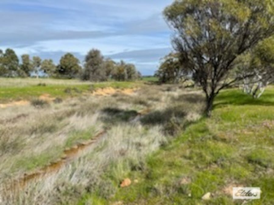 Lot 165 Quairading - York Road, Kauring, WA, 6302 - Image 8