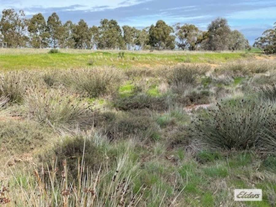 Lot 165 Quairading - York Road, Kauring, WA, 6302 - Image 9