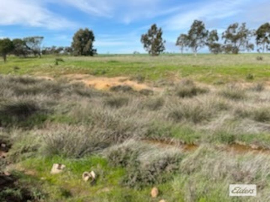 Lot 165 Quairading - York Road, Kauring, WA, 6302 - Image 10
