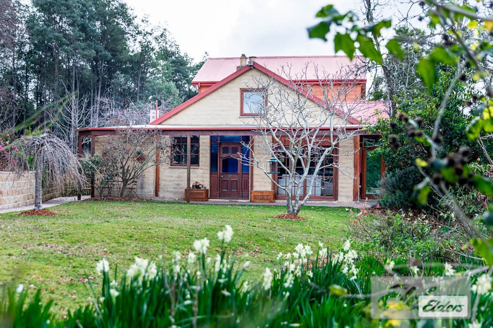 239 North Lilydale Road, North Lilydale, TAS, 7268 - Image 1