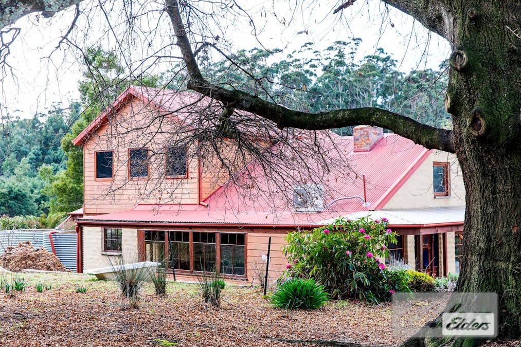 239 North Lilydale Road, North Lilydale, TAS, 7268 - Image 2