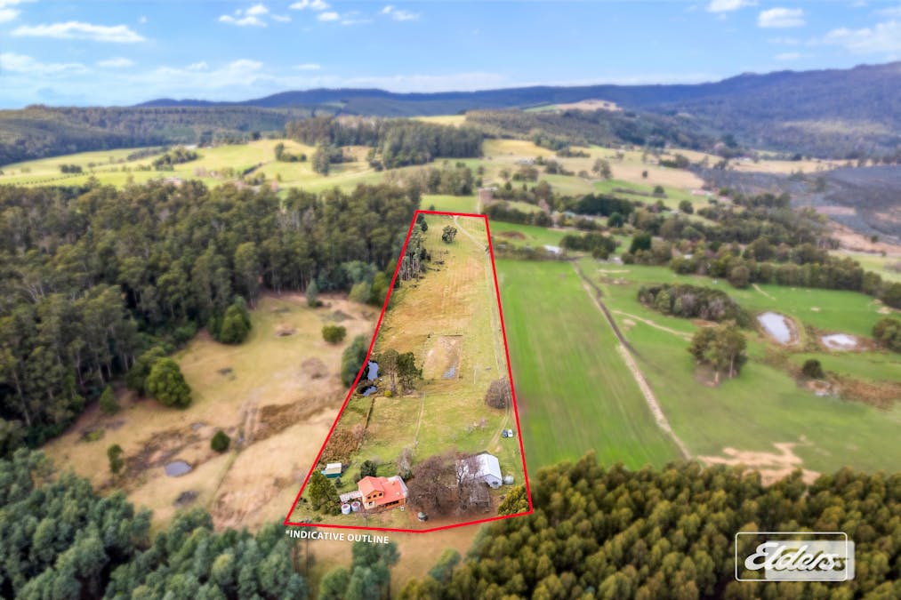 239 North Lilydale Road, North Lilydale, TAS, 7268 - Image 5