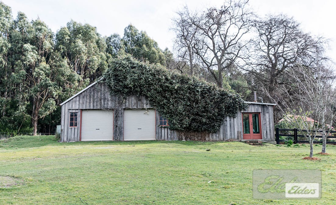 239 North Lilydale Road, North Lilydale, TAS, 7268 - Image 8