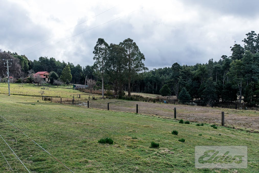 239 North Lilydale Road, North Lilydale, TAS, 7268 - Image 28