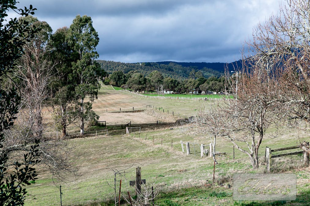 239 North Lilydale Road, North Lilydale, TAS, 7268 - Image 24