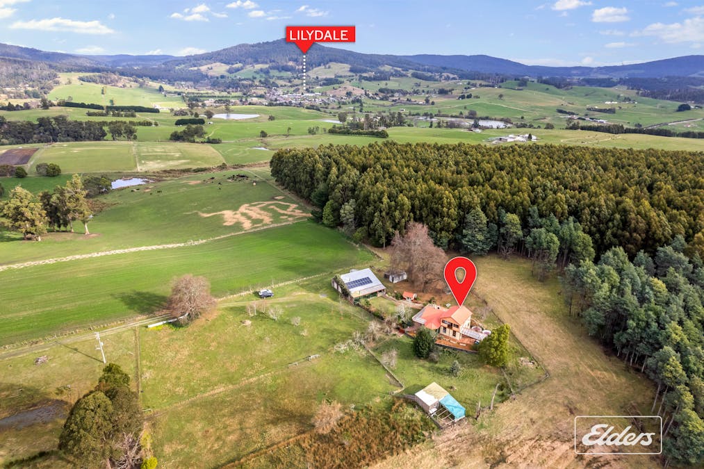 239 North Lilydale Road, North Lilydale, TAS, 7268 - Image 29