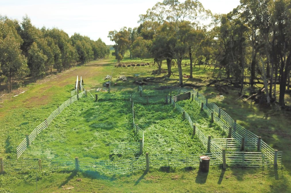 582 Mitchell Road, Mount Barker, WA, 6324 - Image 7