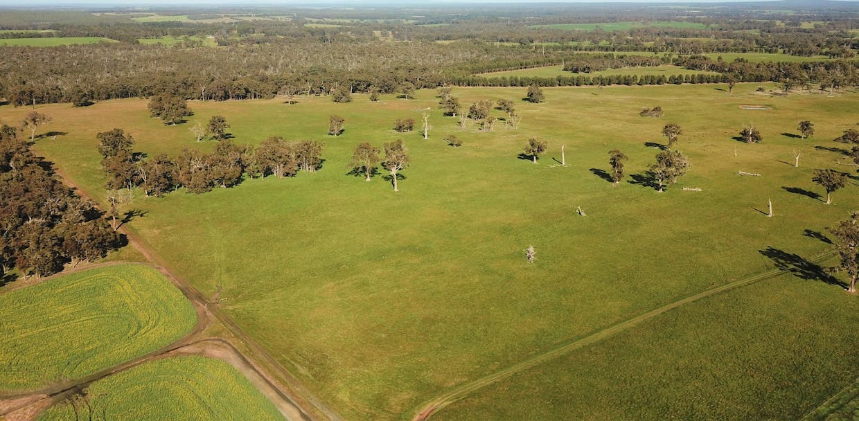 582 Mitchell Road, Mount Barker, WA, 6324 - Image 4
