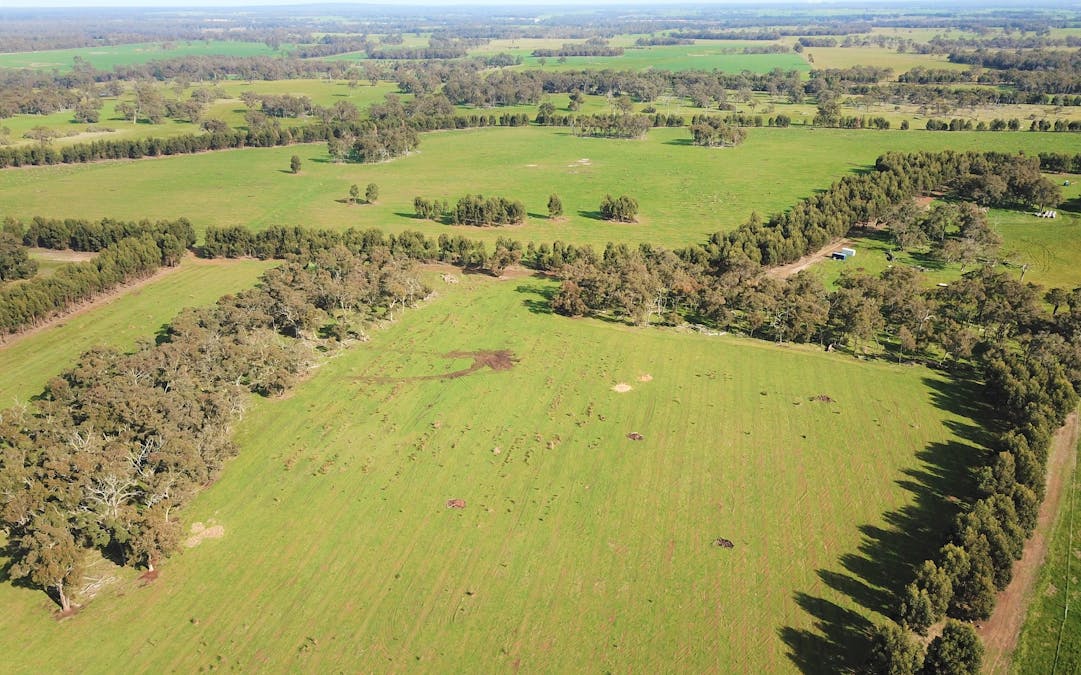 582 Mitchell Road, Mount Barker, WA, 6324 - Image 2
