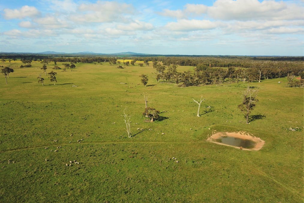 582 Mitchell Road, Mount Barker, WA, 6324 - Image 14
