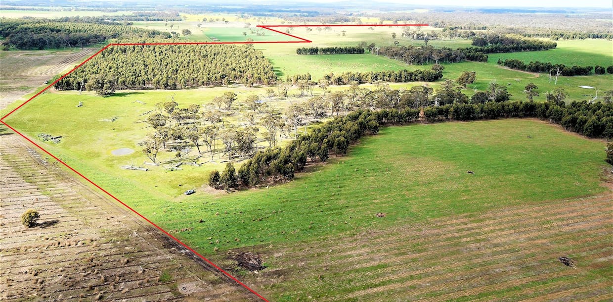 582 Mitchell Road, Mount Barker, WA, 6324 - Image 13