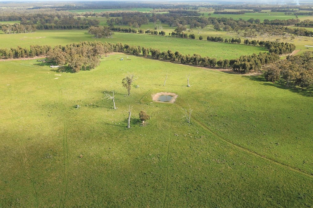 582 Mitchell Road, Mount Barker, WA, 6324 - Image 17