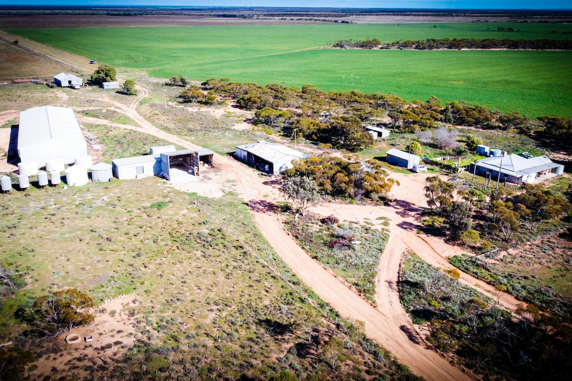 1310 Mitchellville Road, Cowell, SA, 5602 Sold Elders Real Estate