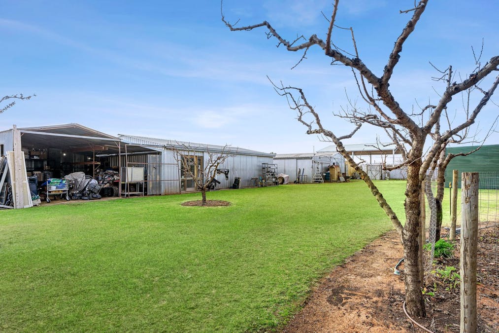 149 Begara Street, Renmark, SA, 5341 - Image 13