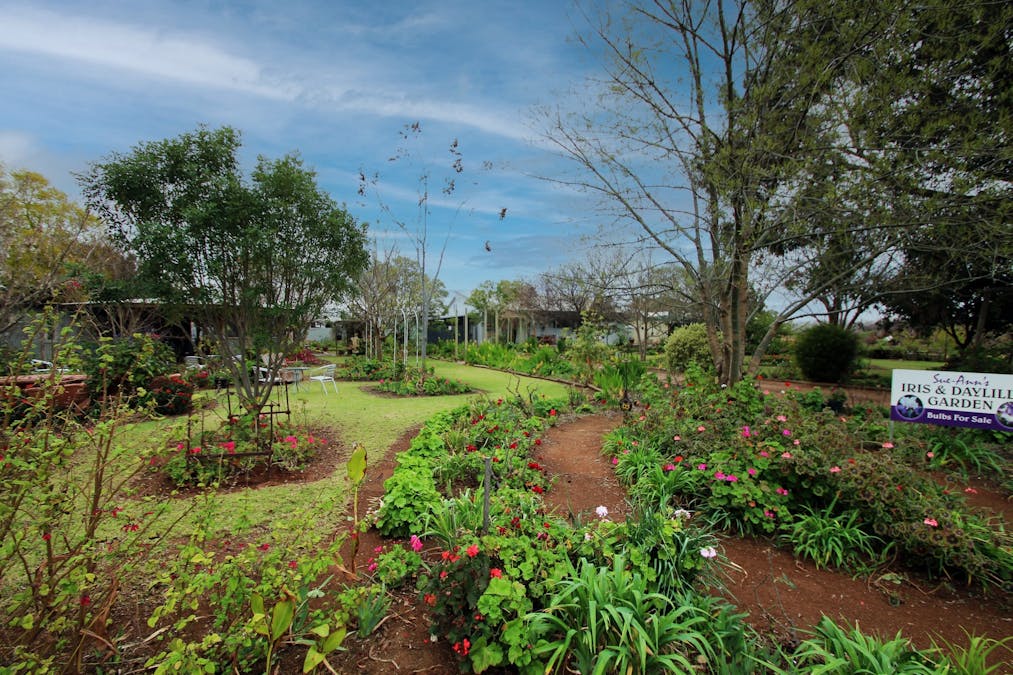 149 Begara Street, Renmark, SA, 5341 - Image 16