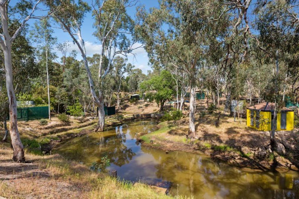 5 Cathery Court, Pyalong, VIC, 3521 - Image 6