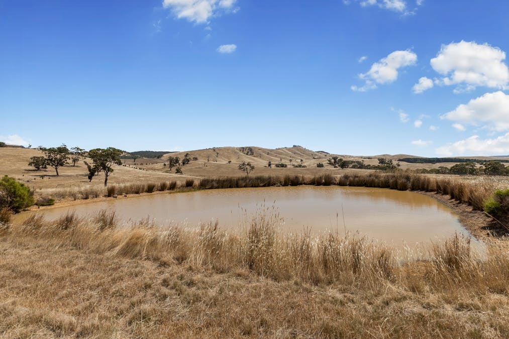 12 Porcupine Court, Chintin, VIC, 3756 - Image 15