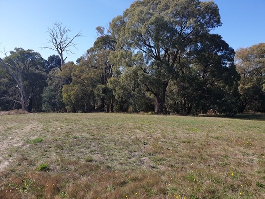 14 Magiltan Drive, Strathbogie, VIC, 3666 - Image 3