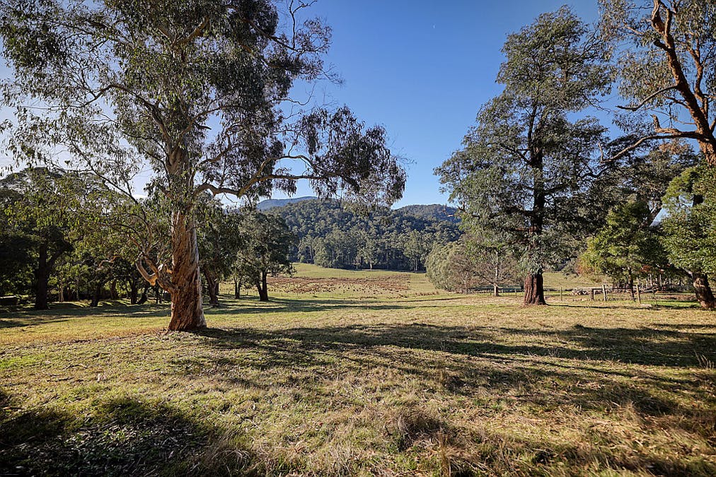 445 Maroondah Highway, Healesville, VIC, 3777 - Image 2