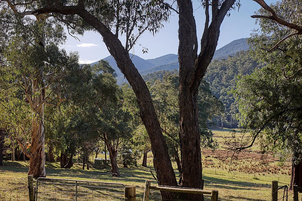 445 Maroondah Highway, Healesville, VIC, 3777 - Image 4
