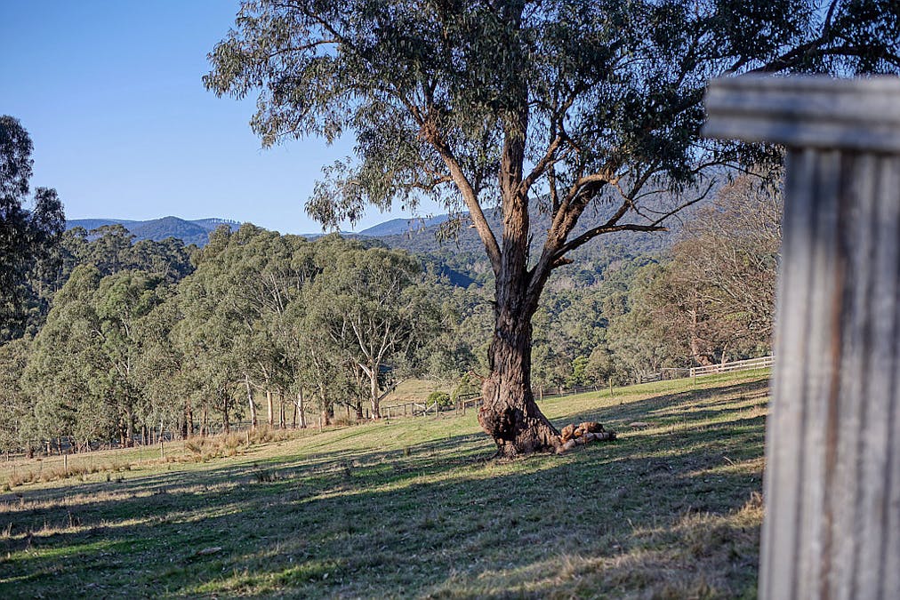 445 Maroondah Highway, Healesville, VIC, 3777 - Image 9