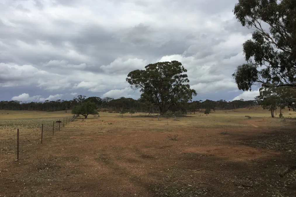 . Burkes Flat- Wehla Road, Burkes Flat, VIC, 3475 - Image 10