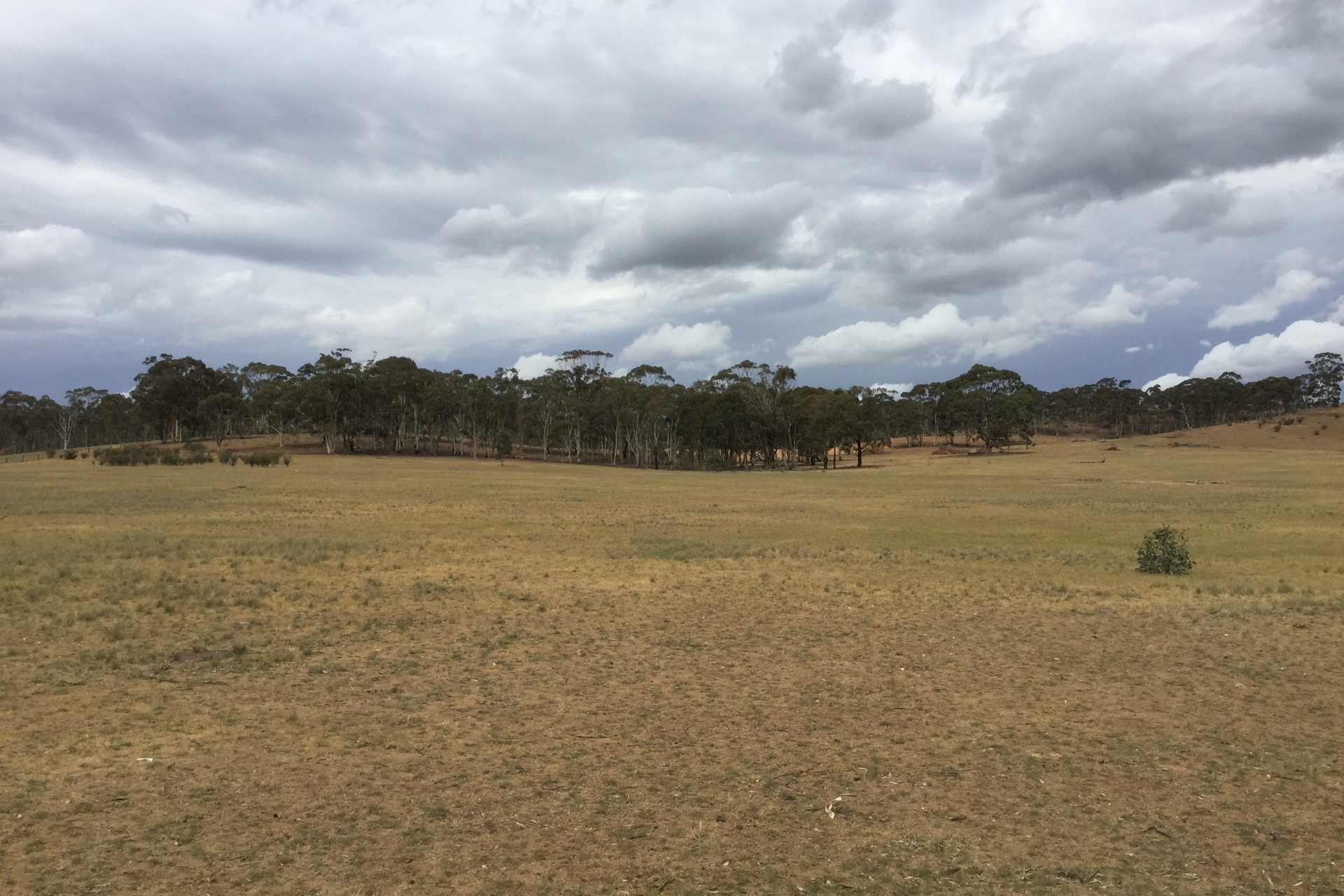 . Burkes Flat- Wehla Road, Burkes Flat, VIC, 3475 – Sold | Elders Real ...