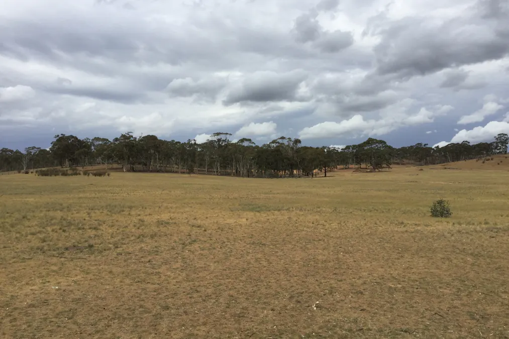 . Burkes Flat- Wehla Road, Burkes Flat, VIC, 3475 - Image 1