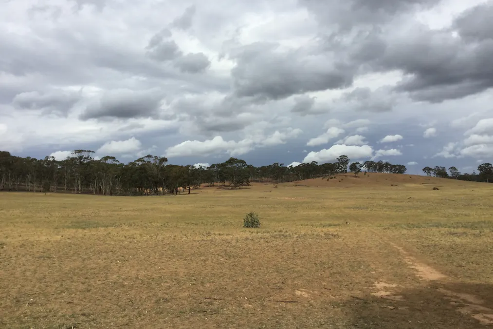 . Burkes Flat- Wehla Road, Burkes Flat, VIC, 3475 - Image 2